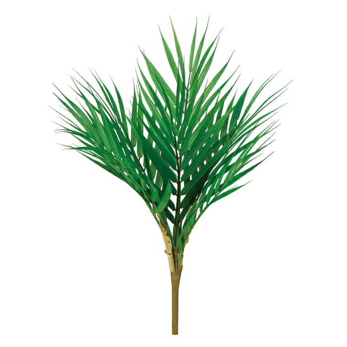 ASCA アスカ 【2023新商品】A?44123 パームリーフブッ #051A グリ-ン (72-44123-151)