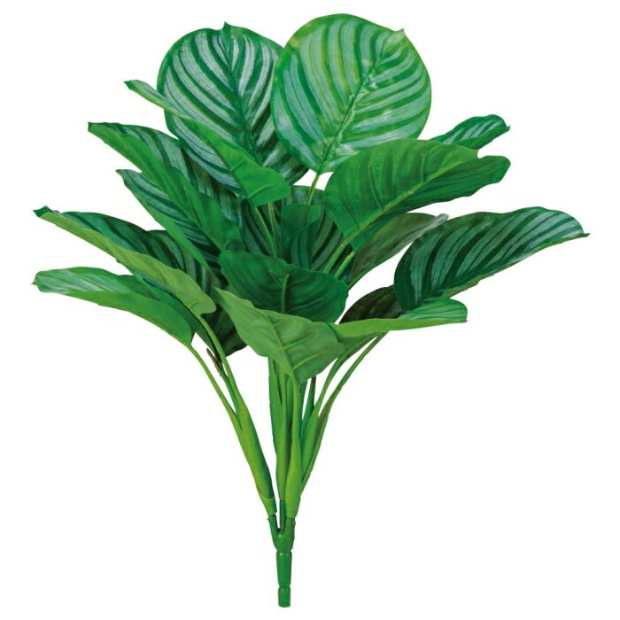 ASCA アスカ A-44201 カラテアブッシュ #051W グリ-ンホワイト (72-44201-151)