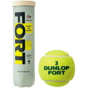 DUNLOP ダンロップ DFCP_F_YLPT_(4)_TIN (DFCPFYLPT4)(4)