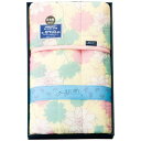 AILITY 2911-013