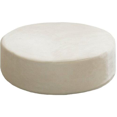 宮武製作所 リビング座布団CN-50R アイボリーIV