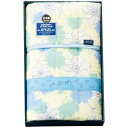 AILITY 2911-022