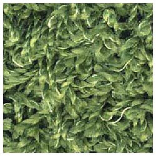 ���ߥΥ�(Suminoe) �ڥ��ߥȥ���˥塼�ĥ����ƥ��ۥ����֥��å����ɱꡢ�ɲ��ε�ǽ�ɲäǥ�˥塼���� (13342240)