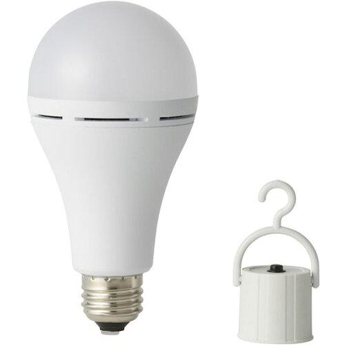 かりはな製作所 蓄電型LED電球 防災電球 昼白色 (KS01WH 2414)