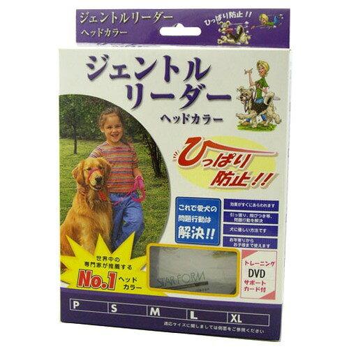 �������ե����२�󥸥˥���� ������ȥ�꡼���������ƥ� �ԥ�P