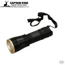 キャプテンスタッグ(CAPTAIN STAG) CAPTAIN STAG キャプテンスタッグ 雷神 アルミパワーチップ型LEDライト(1W-80) UK-4024 (1163015)