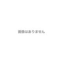 CISCO シスコ C9300-NM-4G=