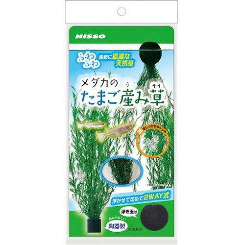 マルカンニッソー事業部 NAP-590 メダカのたまご産み草