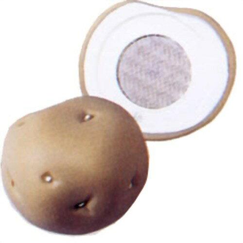 ローヤル株式会社 きってね!やさいシリーズ【おままごと】 (1111)【入数:6】