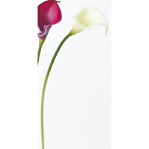 ASCA アスカ Aー31387 カラーリリィ(S#053A クリームグリーン (72-31387-53)