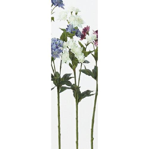 ASCA アスカ Aー32677 アストランティア#052 ホワイトグリーン (72-32677-52)