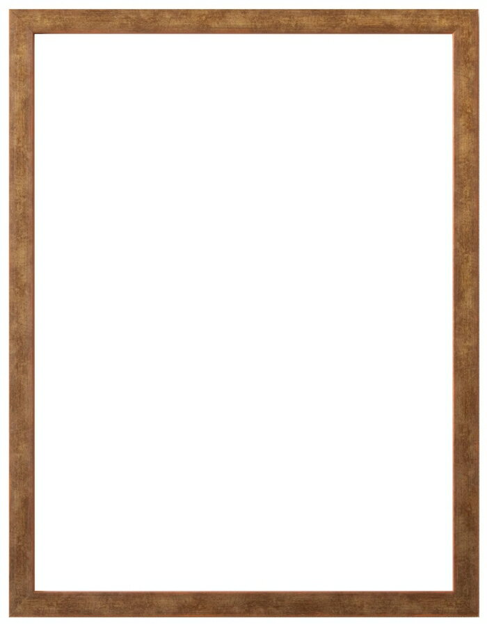 �顼���󡦥��塼�롦�˥åݥ� ��3���顼�� �۱� ����ɡ��С� ���(����509x394mm) (LJC-7075905)