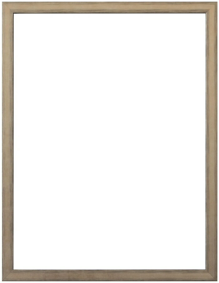 �顼���󡦥��塼�롦�˥åݥ� ��3���顼�� �۱� ����ɡ��С� ����(����424x348mm) (LJC-7067304)