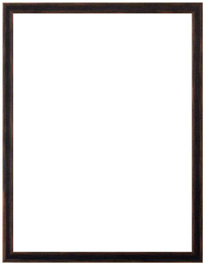 �顼���󡦥��塼�롦�˥åݥ� ��3���顼�� �۱� ����ɡ��С� Ȭ��(����303x242mm) (LJC-7047102)