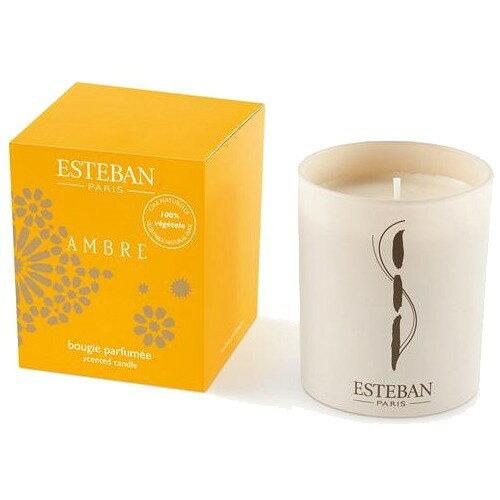 &nbsp;メーカー&nbsp;日本香堂&nbsp;商品カテゴリ&nbsp;インテリア＞キャンドル・キャンドルスタンド&nbsp;発送目安&nbsp;3日〜4日以内に発送予定（土日祝除）&nbsp;お支払方法&nbsp;銀行振込・クレジット...