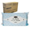イトマン CareCoco(ケアココ) 水に流せるペーパータオルL200ハード 200枚入 50200039 1袋(200枚入)