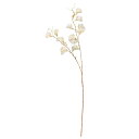 アスカ商会(Asca) 【2023新商品】A?34502 スイトピー×14 #091 アイボリ- (72-34502-91)