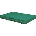 トーエイライト 200X300X30CMカバー G-1544A
