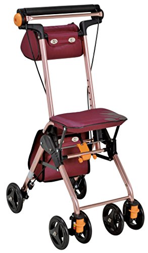 幸和製作所 テイコブ ナノン DX / CPS02-WR ワインレッド