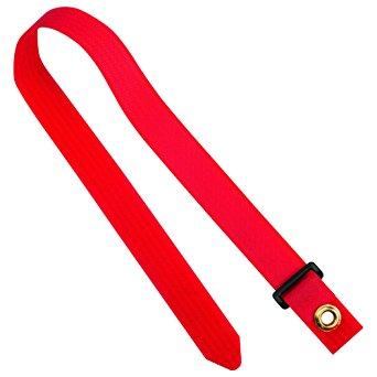 UGCTE5SX2パンドウイット ウルトラシンチ UGCTEシリーズ 赤 (10本入)7853106