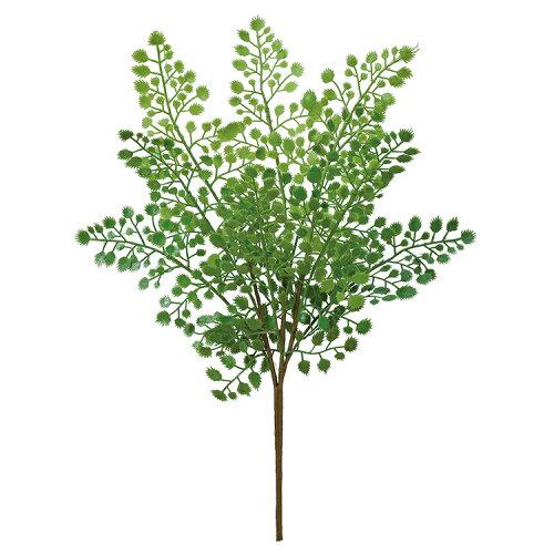 ASCA アスカ メイデンヘヤーファーンブッシュ (A-43870-51A)【入数:24】