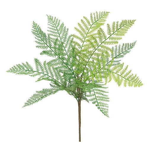 ASCA アスカ ファーンリーフブッシュ (A-43874-51A)【入数:24】