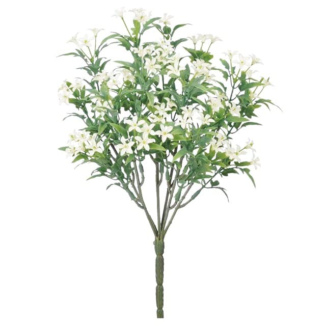 &nbsp;メーカー&nbsp;ASCA アスカ&nbsp;商品カテゴリ&nbsp;フラワー・観葉植物＞造花&nbsp;発送目安&nbsp;2日〜3日以内に発送予定（土日祝除）&nbsp;お支払方法&nbsp;銀行振込・クレジットカード&nbsp;送料&nbsp;送料無料&nbsp;特記事項&nbsp;&nbsp;その他&nbsp;