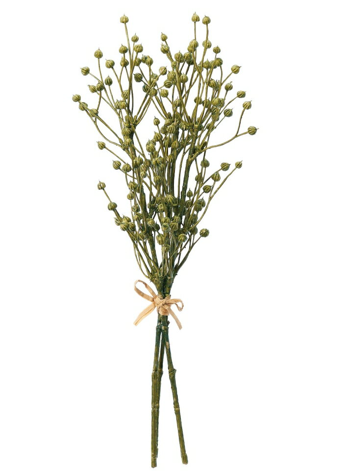 ASCA アスカ フラックスシードバンチ(1束3本) オリーブグリーン (A-47985-54G)【入数:12】