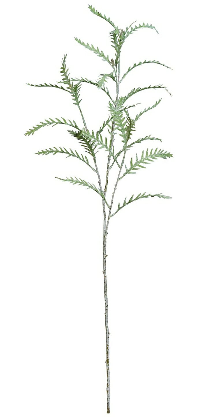 アスカ(Asca) グレビリアステム フロストグリーン (A-44109-51F)【入数:12】