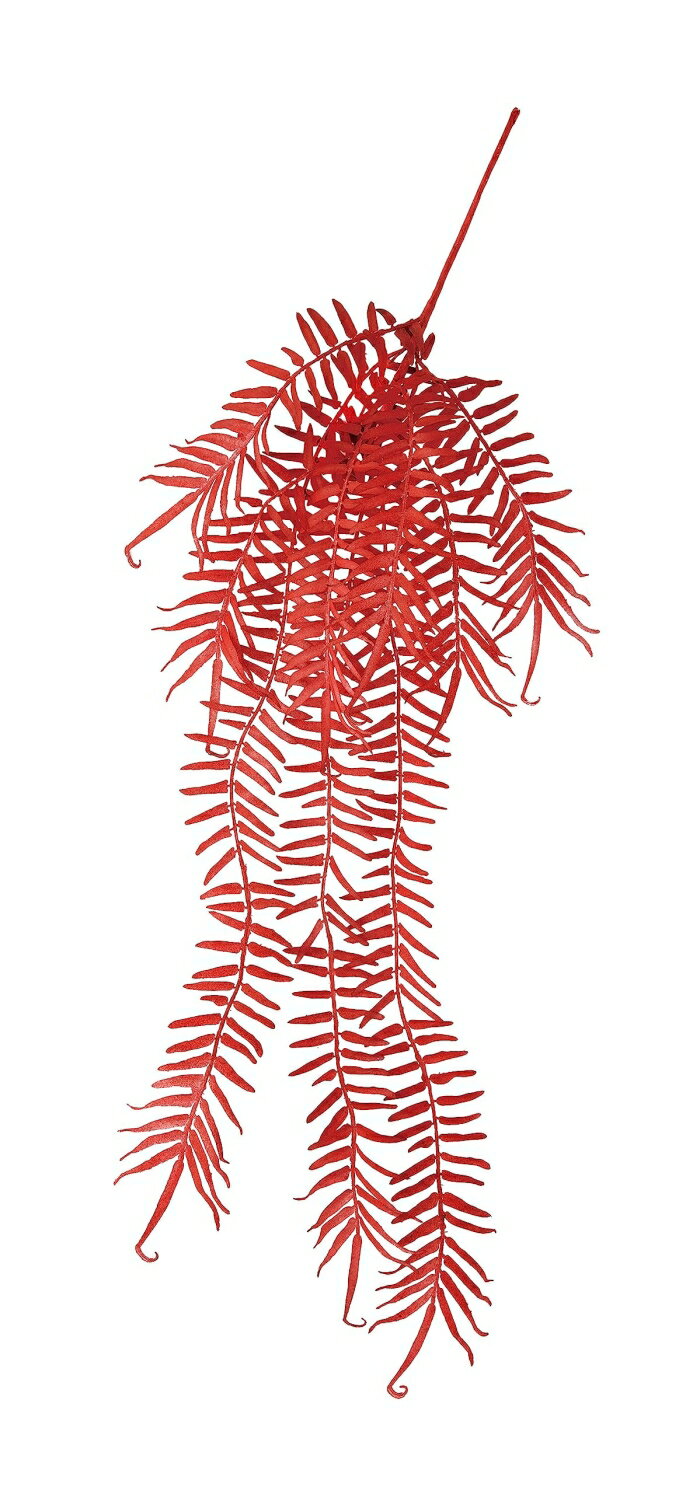 アスカ(Asca) ファーンハンギングスプレー レッド (A-44156-2)【入数:24】