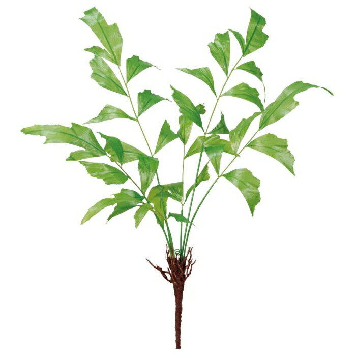 アスカ(Asca) カリオタブッシュ グリーン (A-44158-51A)【入数:12】