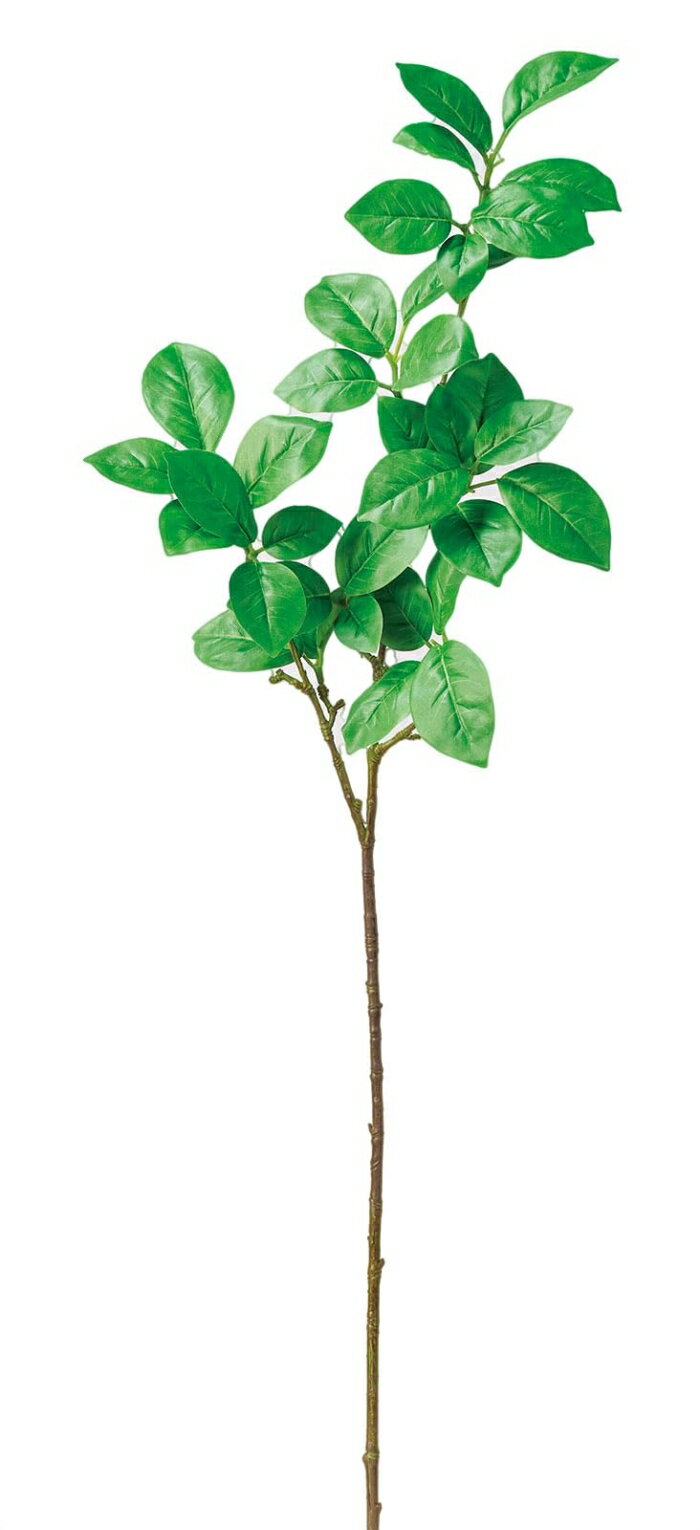 アスカ(Asca) リーフスプレー グリーン (A-44188-51A)【入数:12】