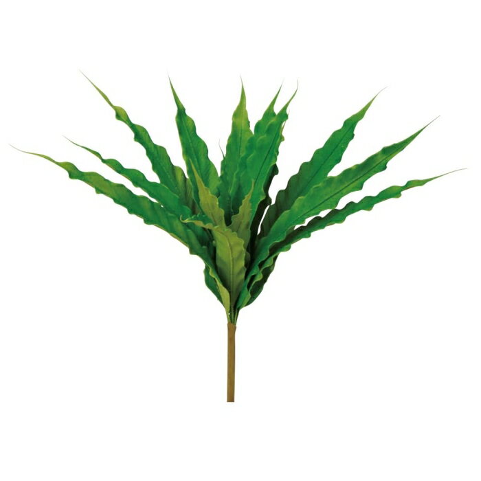 ASCA アスカ ファーンリーフブッシュ グリーン (A-44122-51A)【入数:24】