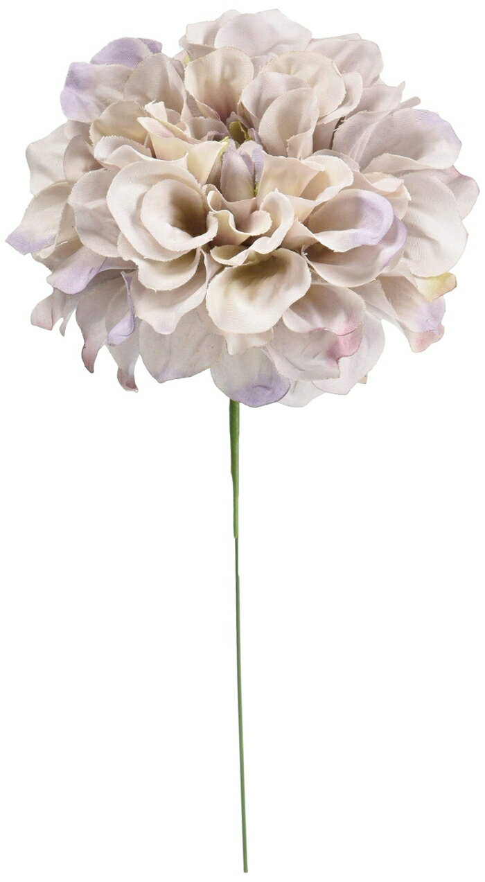 アスカ(Asca) ダリアピック (A-31451006C)