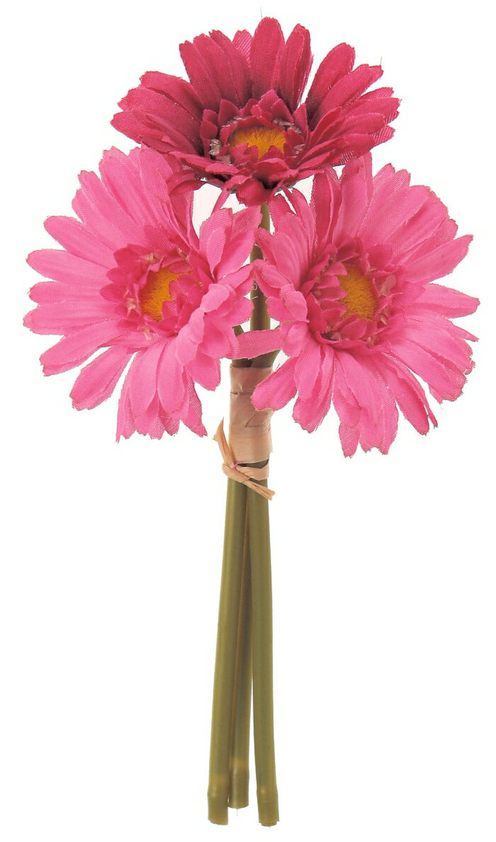 ASCA アスカ ミニガーベラバンチ(1束3本) (A-32214005)