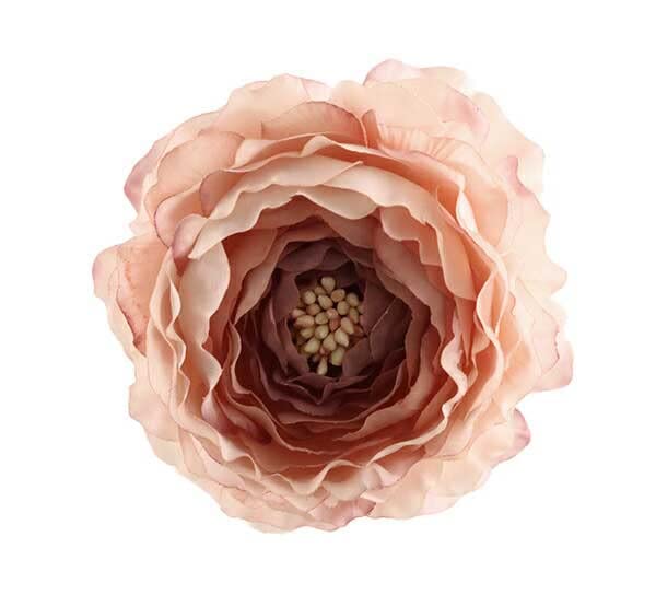 ASCA アスカ ラナンキュラス (A-31841055)