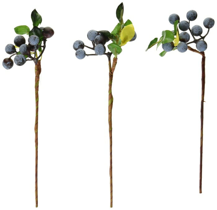 ASCA アスカ ベリーバンチ(1束3本) (A-47690037)