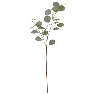 ASCA アスカ ユーカリ フロストグリーン (A-42237051F)