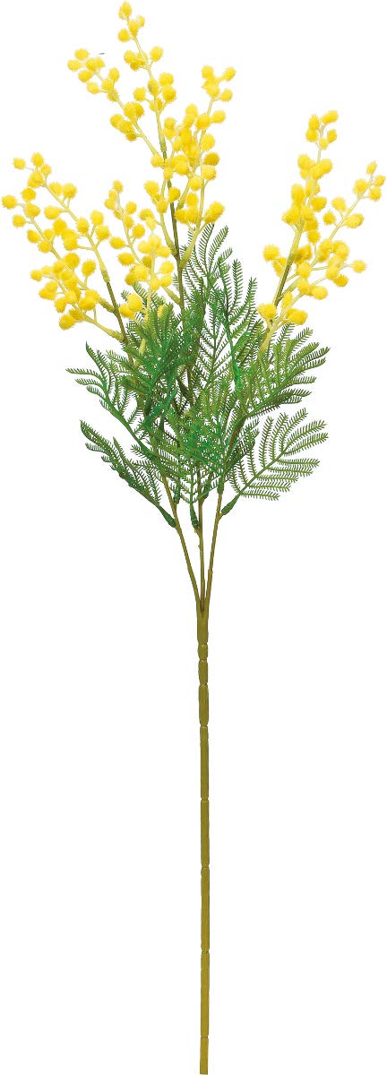 &nbsp;メーカー&nbsp;ASCA アスカ&nbsp;商品カテゴリ&nbsp;フラワー・観葉植物＞造花&nbsp;発送目安&nbsp;2日〜3日以内に発送予定（土日祝除）&nbsp;お支払方法&nbsp;銀行振込・クレジットカード&n...