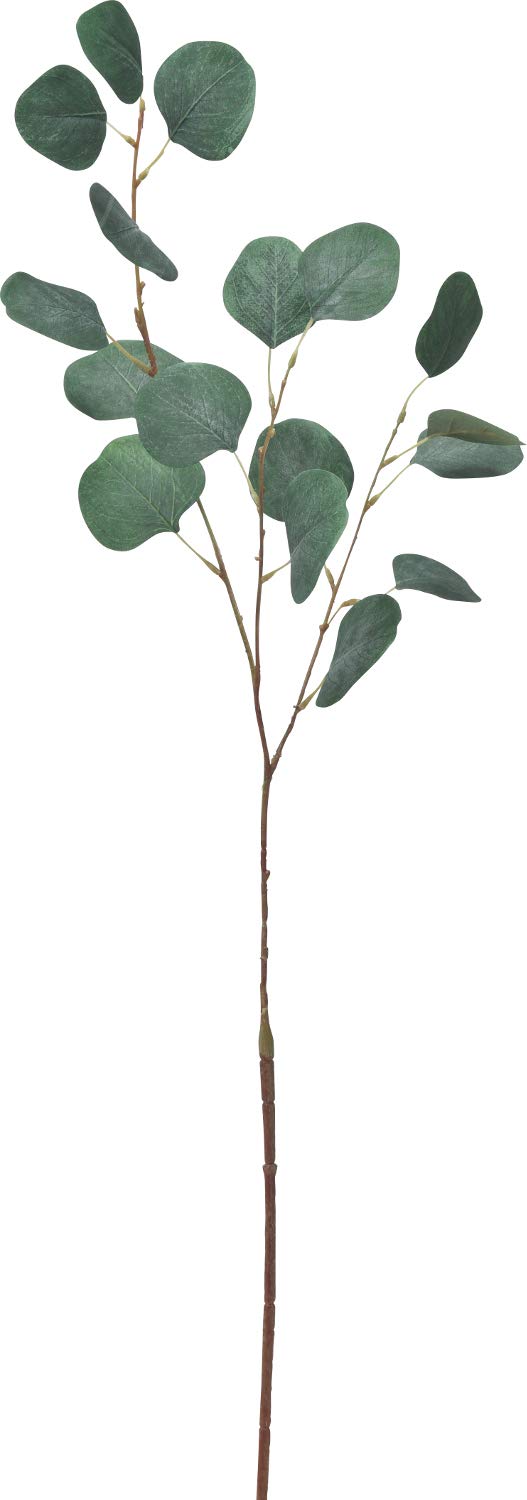 ASCA アスカ ユーカリ (A-43378051A)