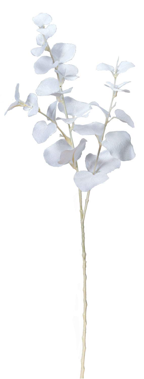 ASCA アスカ ユーカリ ホワイト (A-43691001)