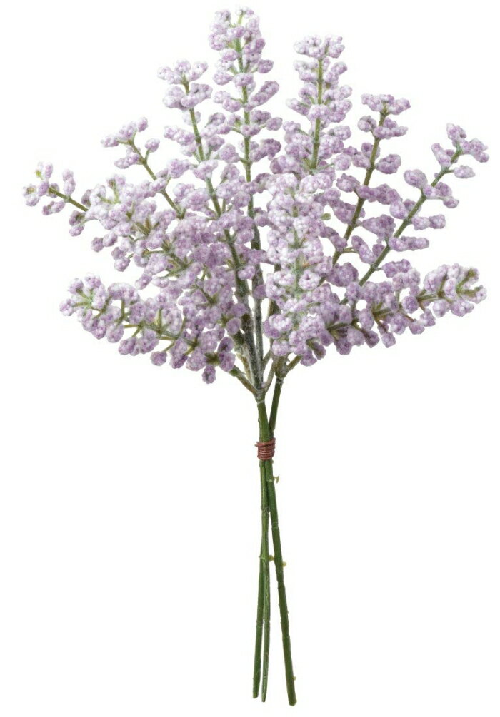 ASCA アスカ ベリーバンチ(1束3本) (A-47916006)