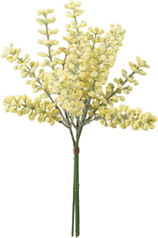 ASCA アスカ ベリーバンチ(1束3本) (A-47916010)