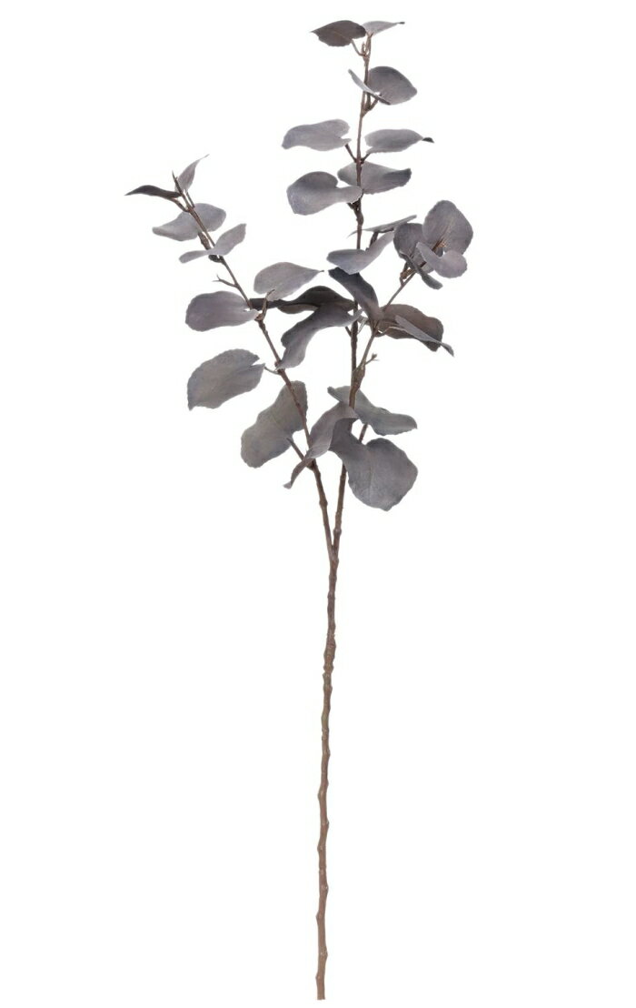 ASCA アスカ ユーカリ グレイ (A-43989063)