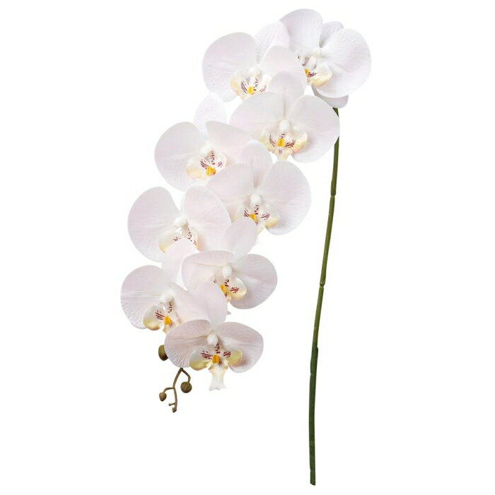 アスカ(Asca) コチョウラン×9 つぼみ×3 ライトピンク (A-34542013)