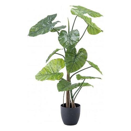 &nbsp;メーカー&nbsp;AZUMAYA 東谷&nbsp;商品カテゴリ&nbsp;フラワー・観葉植物＞人工観葉植物&nbsp;発送目安&nbsp;1週間以内に発送予定&nbsp;お支払方法&nbsp;銀行振込・クレジットカード&nbsp;送料&nbsp;送料無料&nbsp;特記事項&nbsp;&nbsp;その他&nbsp;[ガーデニング・DIY・防殺虫】ガーデニング・花・植物・DIY]フェイクグリーン