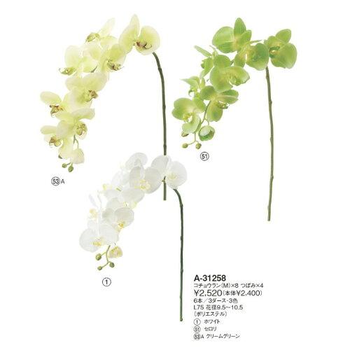 アスカ(Asca) Aー31258 コチョウラン(M#001 ホワイト (72-31258-1)