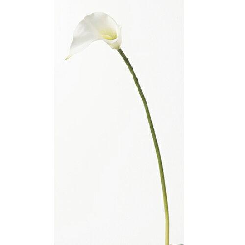 ASCA アスカ Aー32223 カラーリリィ#001 ホワイト (72-32223-1)