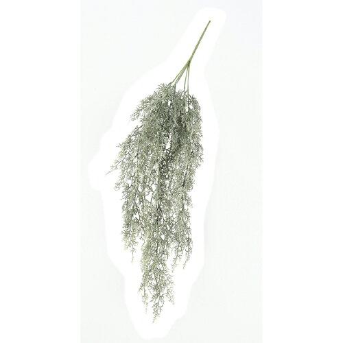 ASCA アスカ Aー42508 ファーンハンギン#053S セージグリーン (72-42508-53)