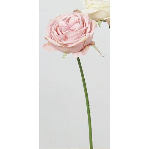 ASCA アスカ ローズ (A-33064-3)【入数:24】